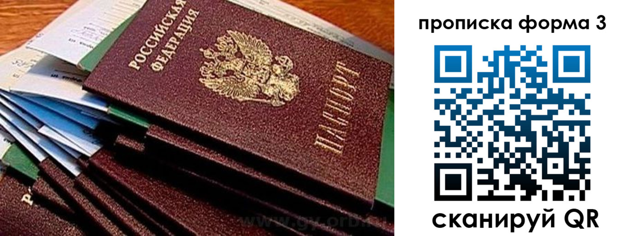 прописка иностранных граждан в Судогде